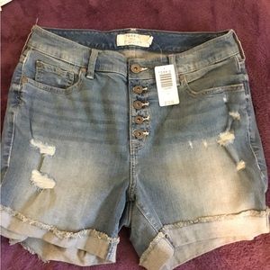 NWT Torrid Vintage High Rise Jean Shorts -Size 12